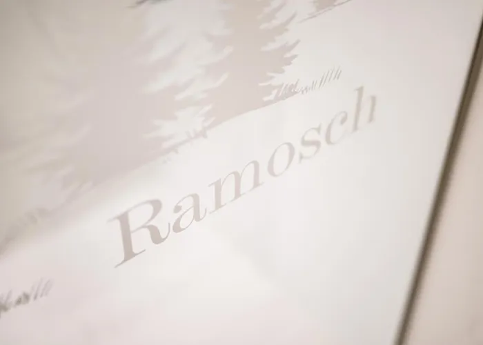 Daire Chasa Schilana 84